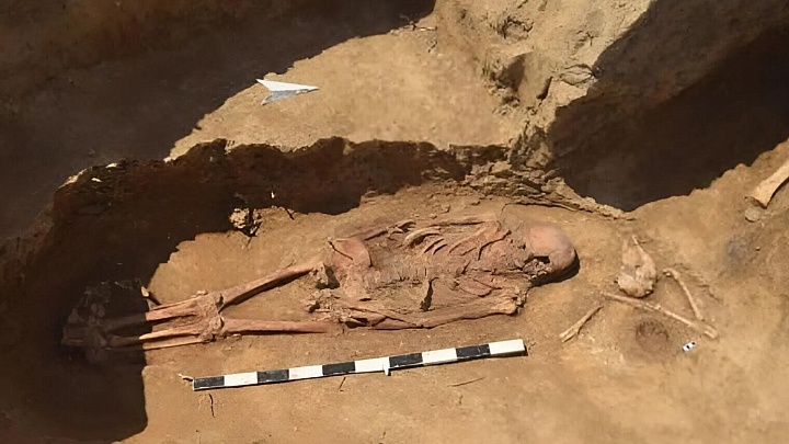Российские генетики раскрыли тайну древнего погребения на Дону